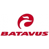 Batavus chargeurs