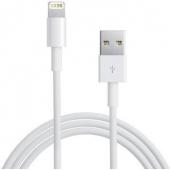Câble USB Lightning - pour Apple - 1 mètre