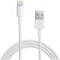 Câble USB Lightning - pour Apple - 1 mètre